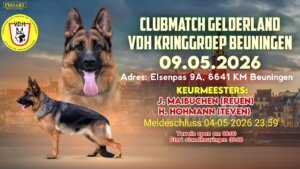 clubmatch Gelderland 2026